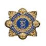 Garda Badge